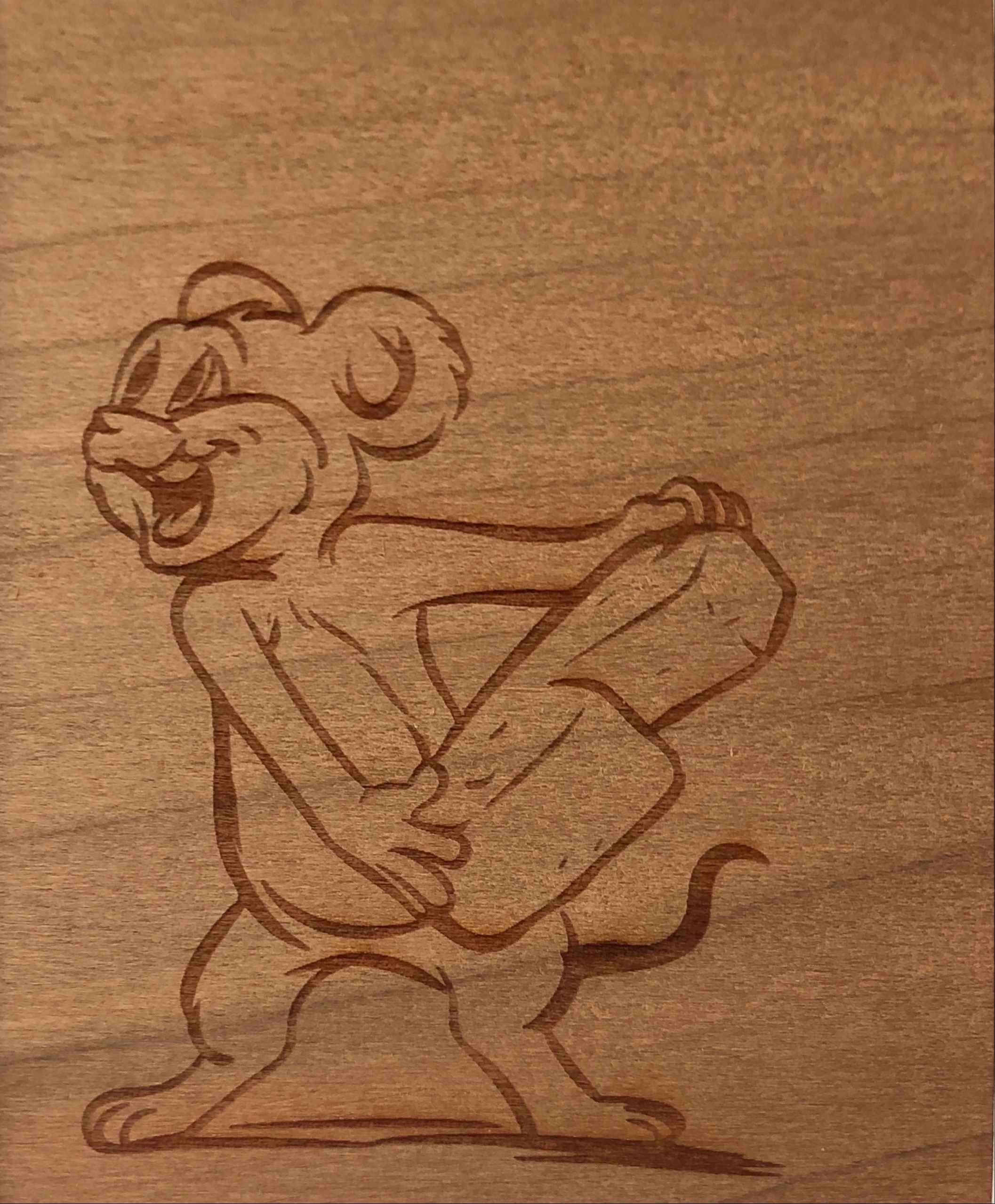 Glass Laser Tube for engraving on Wood